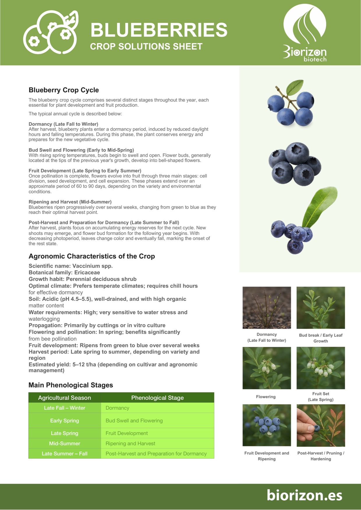 Ficha_de_Soluciones_para_el_CULTIVO_DE_ARANDANO_A4-en
