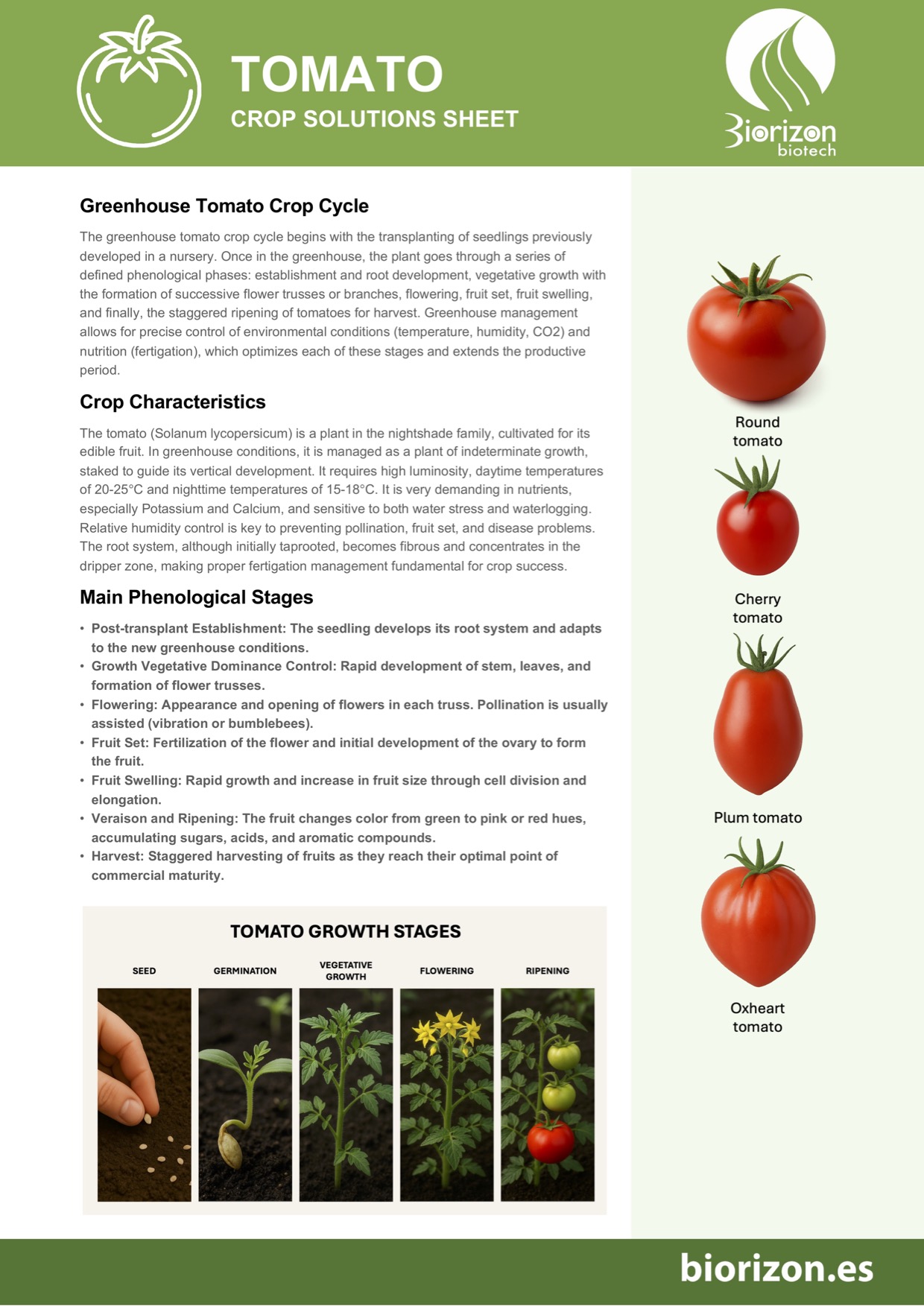 Ficha_soluciones_TOMATE_A4_en